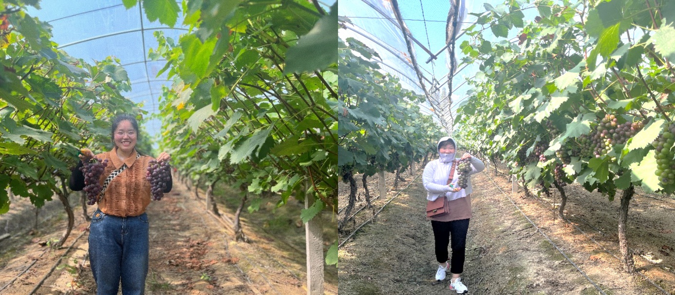 1691990942635200.jpg 1691990942635200.jpg